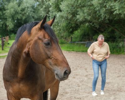 Deelnemer van paardencoachingsessie en paard